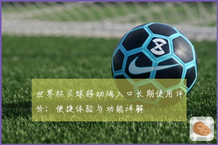 世界杯买球移动端入口长期使用评价：便捷体验与功能详解