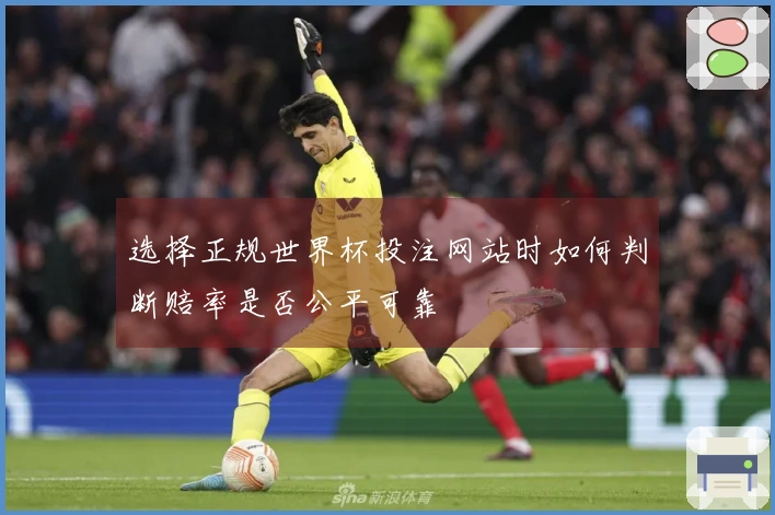 选择正规世界杯投注网站时如何判断赔率是否公平可靠