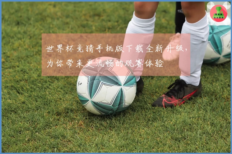 世界杯竞猜手机版下载全新升级,为你带来更流畅的观赛体验