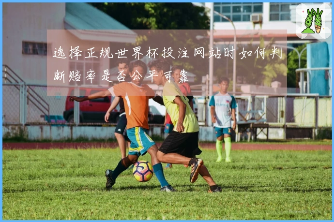 选择正规世界杯投注网站时如何判断赔率是否公平可靠